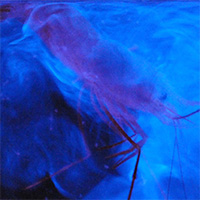 Shrimp spewing bioluminescence. Image courtesy of Bioluminescence 2009 Expedition, NOAA/OER