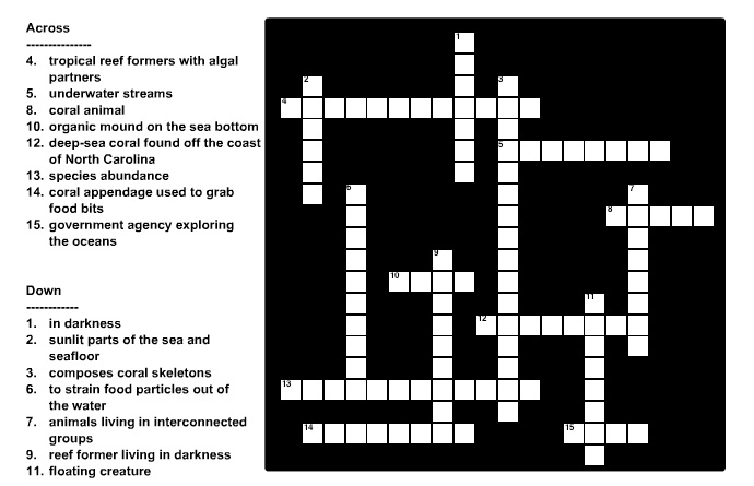 Discovery education crossword