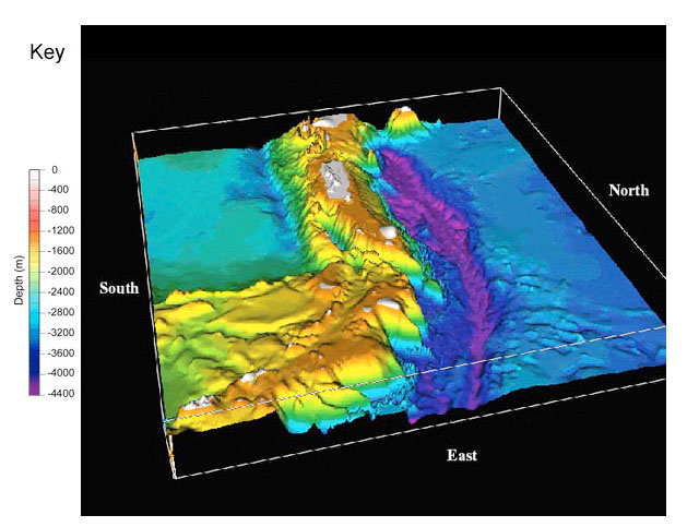 This bathymetric image shows a portion of the seafloor. Study it until you are confident you understand the topography, then answer the questions below.