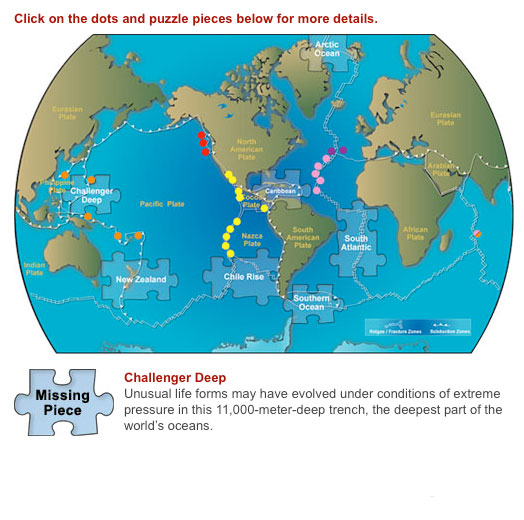 Soon after animal communities were discovered around seafloor hydrothermal vents in 1977, scientists found that vents in various regions are populated by distinct animal species. Scientists have been sorting clues to explain how seafloor populations are related and how they evolved and diverged over Earth’s history. Scientists today recognize distinct assemblages of animal species in six major seafloor regions (colored dots) along the system of volcanic mountains and deep-sea trenches that form the borders of Earth’s tectonic plates. But unexplored ocean regions remain critical missing pieces for assembling the full evolutionary puzzle