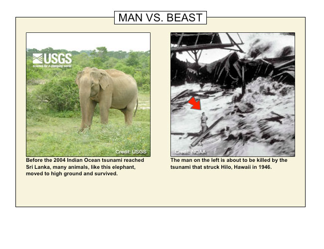 Man vs. Beast, Heed the Signs, 'Primitive' Tribe Survives Tsunami