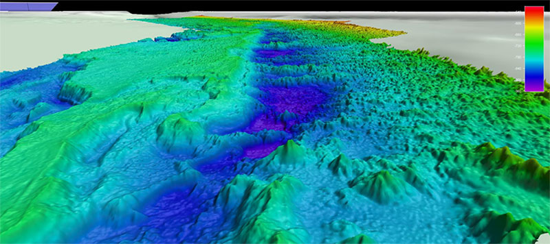 Bathymetry image of the "Million Mounds" coral region.