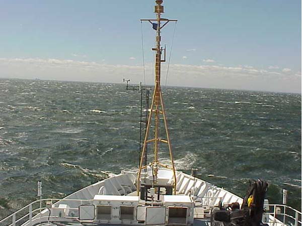 A picture of the sea state taken from the bridge aboard the Ron Brown.