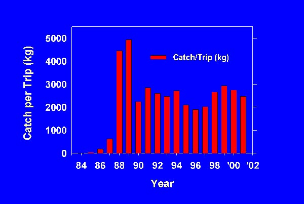 Wreckfish catch data 1984-2002