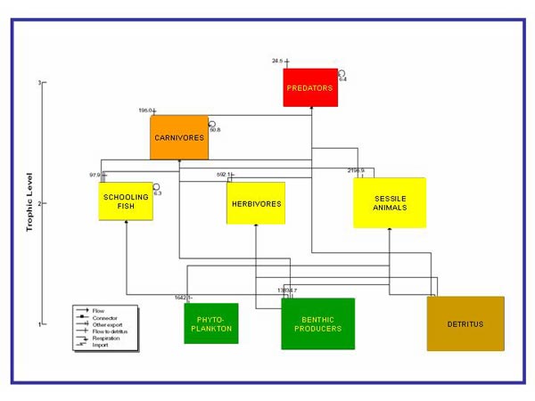 Flux Diagram