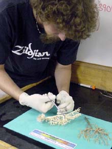 Mercer Brugler prepares a sample of coral for preservation