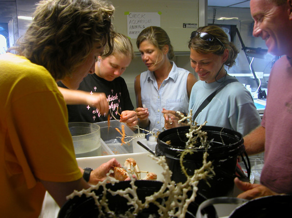 Excited science crew gathers around the ship’s lab sorting table to examine the catch 