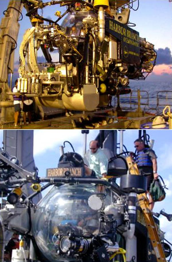 Figure 2. Manned submersibles (such as Johnson-Sea-Link shown here) are needed for exploring and sampling the deep, rugged bottoms of coral habitat.