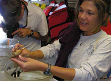 Cheryl Morrison shows a specimen of hermit crab she collected during her dive.