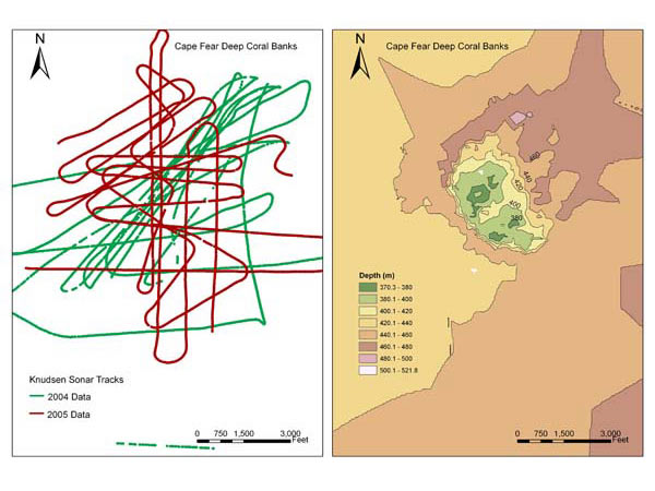 Two years of ship tracks plotted over the Cape Fear deep coral bank area off North Carolina.