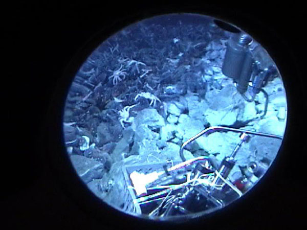 View out the porthole of Pisces V as it samples hydrothermal vent fluid from