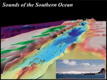 Three-dimensional perspective of the seafloor of the Bransfield Strait