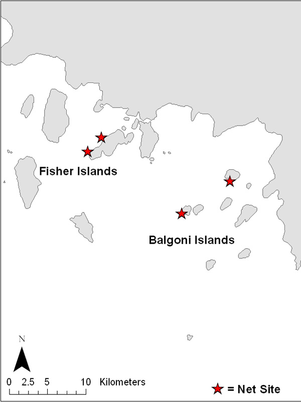 Sites where nets were set to catch narwhals in the Fisher and Balgoni Islands, Melville Bay.