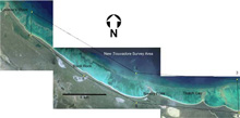The 2006 Survey area on the north coast of East Caicos, BWI.