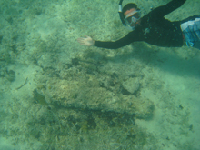A small iron cannon in shallow, protected water near Jacksonville Cut during the East Caicos survey.