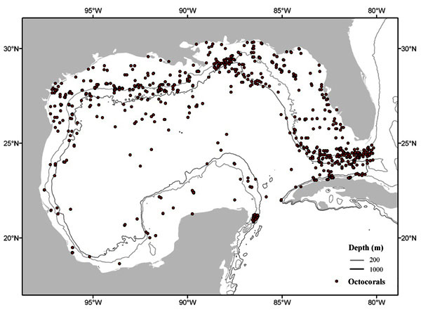 Map of octocorals collected in the Gulf of Mexico since the 19th century. Each dot represents a museum specimen. The gray lines represent depth. 