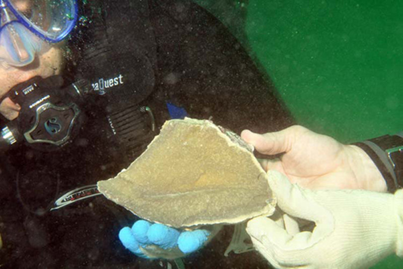 In 2009, archaeologists on the Submerged New World team located exposed bedrock chert.