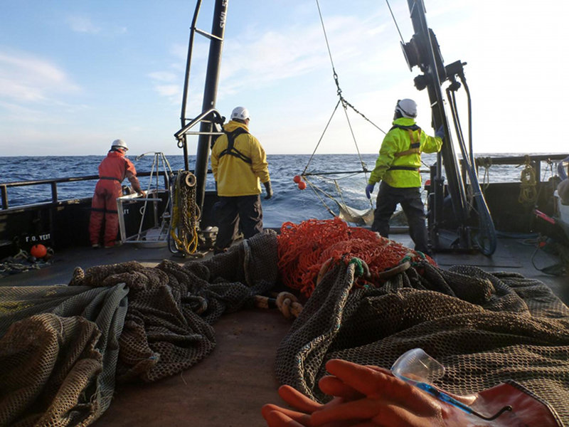 Beam trawl to capture fish and benthic invertebrates is brought on board of the research vessel.