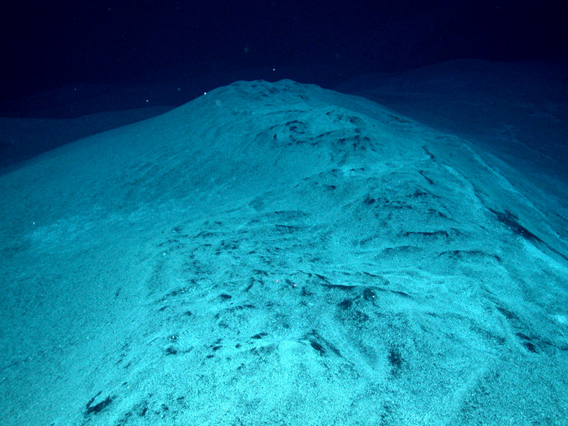Microbial mats coated in white sulfate material were observed and sampled at several vent sites at West Mata in 2009.