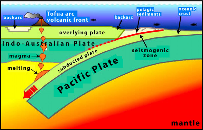 This illustration shows the Pacific plate in the east colliding with the Indo-Australian plate in the west.