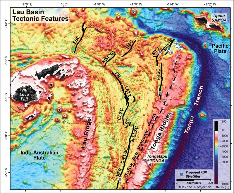 Tectonic features of the Lau Basin overlaid on satellite altimetry data.