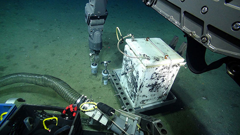 ROV Jason collects push-core samples during the Deepwater Canyons expedition.