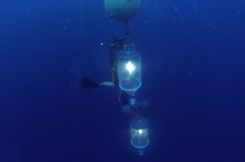 Cedric Guigand prepares to release two light traps into the depths.