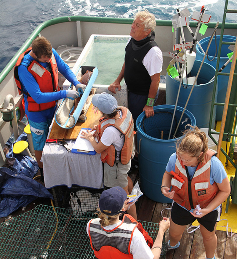 The entire Fish Group “A Team” working-up a red grouper to get samples.