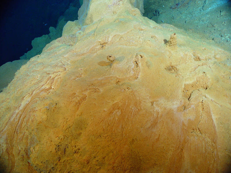 Photograph of iron-oxide-encrusted microbial mat collected using a remotely operated vehicle at Yellow Top Vent, Northwest Eifuku.