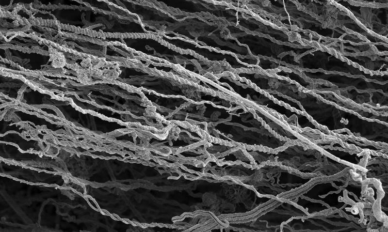 This is a scanning electron micrograph of a microbial iron mat showing all the threads of ferrihydrite mineral left behind by the iron-oxidizing bacteria. Note that there are no bacterial cells present in this image, just the mineral remains. Image produced by Sean McAllister and Clara Chan, University of Delaware.