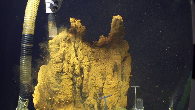 The slurp sampler is used to collect bulk samples of microbial mat and larger organisms.