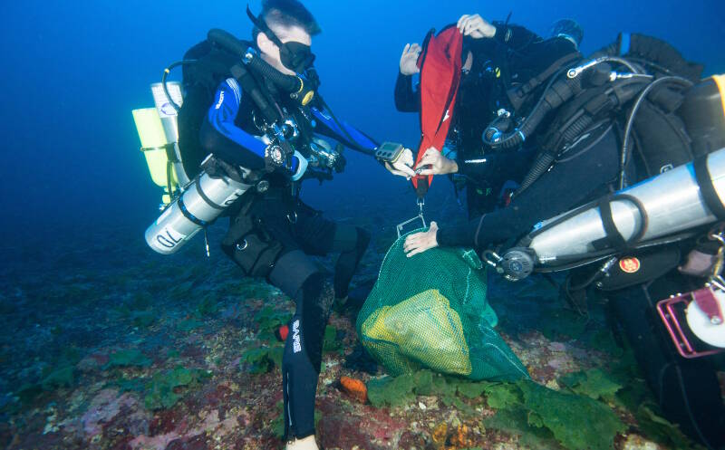 Technical divers sending up a lift bag with the collected samples.