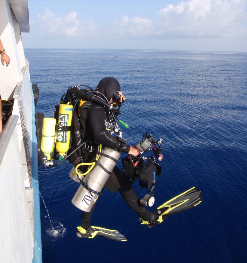 Rebreathers reduce the amount of gear required and increase safety and bottom time.