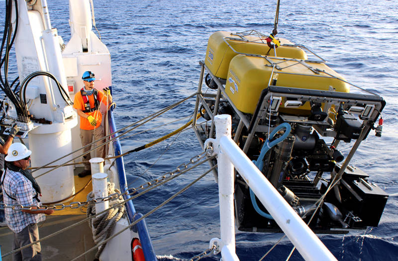 Carefully deploying the ROV Global Explorer to go and collect some deep-sea crustaceans!