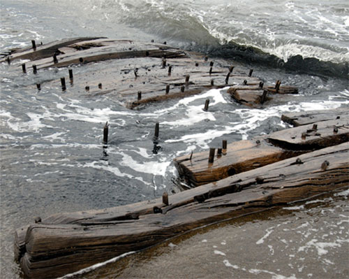 The shipwreck remains located off Point Franklin represent 19th century wooden ship construction. The wood frames are likely from the lower portion of the vessel near the turn of the bilge. The wooden pegs, seen here on a section of ship hull, are known as treenails and were used to fasten pieces of wood together, and in this case they were used to attach the exterior hull planking or interior ceiling planks.