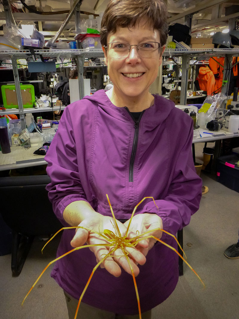Sandra Thornton holds a sea spider, a specimen collected by the Global Explorer remotely operated vehicle.