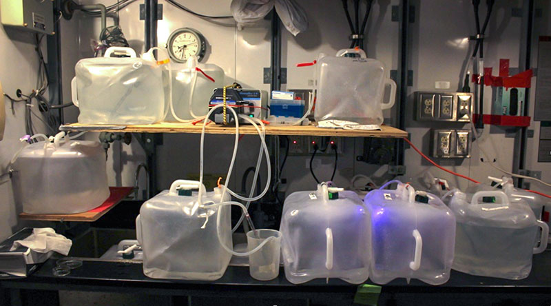 Seawater collected from a CTD-cast is pumped through 0.22µm pore-sized filters to concentrate microbial cells in this filtration station.