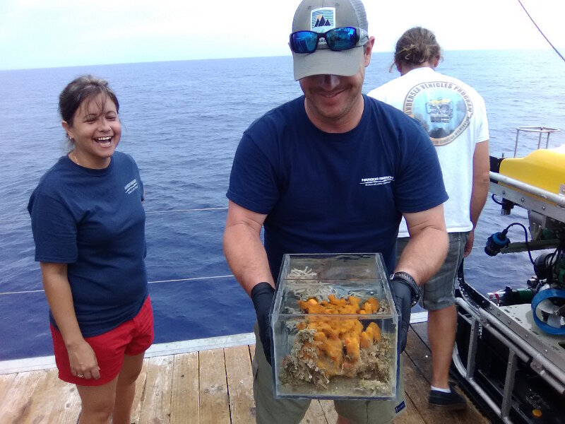 Dr. Voss and Cuban counterpart Juliett González Méndez are clearly very pleased with two of the samples collected during an ROV dive southeast of Cienfuegos: a branching Madracis coral and an orange Verongida sponge.