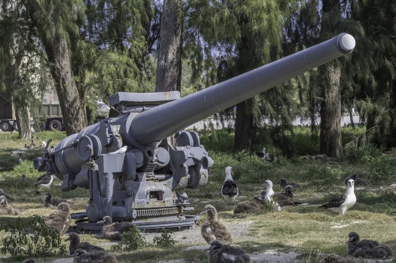 Historic guns placed in the mall at Midway Atoll as a reminder of its military history.