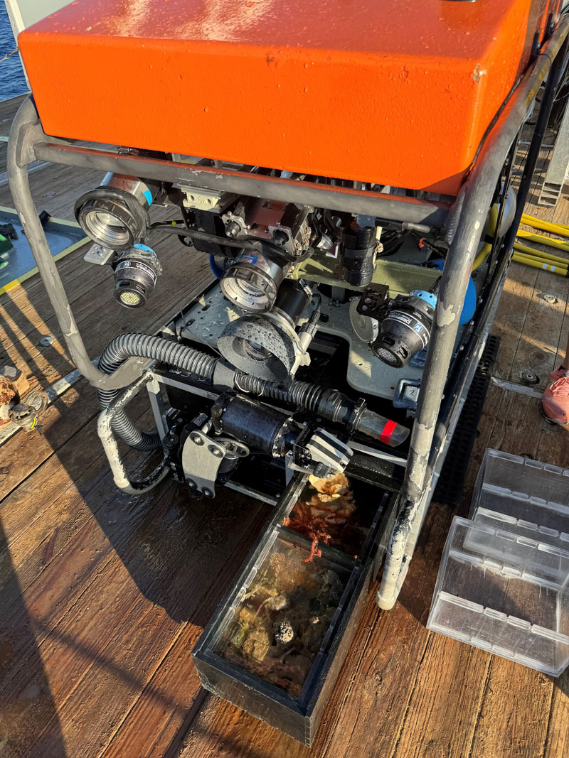 The Mohawk Remotely Operated Vehicle Rov Back On Deck On Research