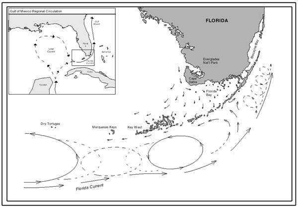 map of florida keys islands. Map showing current patterns throughout the Florida Keys.