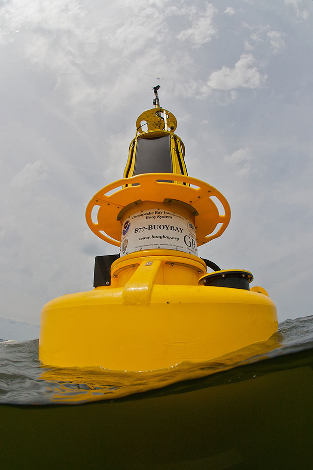 I photographed this Buoy for MARI the Maryland Artificial Reef Initiative the day it was deployed. Many people in the Chesapeake Bay area use the data it collects. It is very useful to me when planning dives on the artificial reef that it is near.
