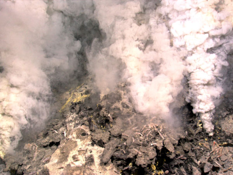 Image of hydrothermal vents found during the second ROV dive on Kawio Barat. The yellow deposits are molten sulfur. Multiple species of hot-vent shrimp are also visible.