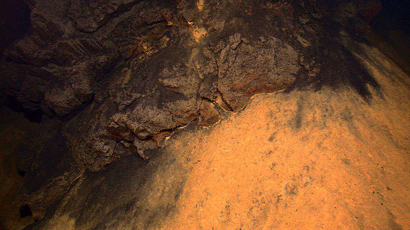 The surface of the sediments seen during the dive was often covered by bright white or orange coatings produced when warm fluids percolate up through the sand-like sediments and encounter cold seawater. The iron and sulfur carried by the warm fluids produce orange or yellow-white coatings that stand out vividly against the dark background.