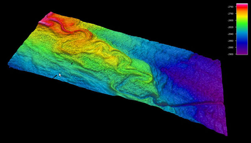Image of an underwater river feature on the seafloor in the Northern Gulf of Mexico.