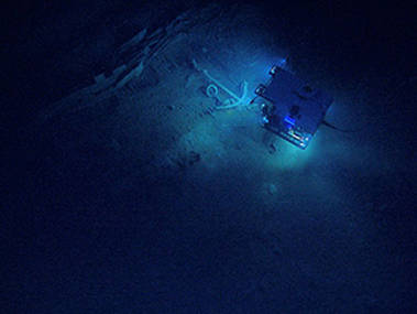 Dive 05: Monterrey Shipwrecks C and A