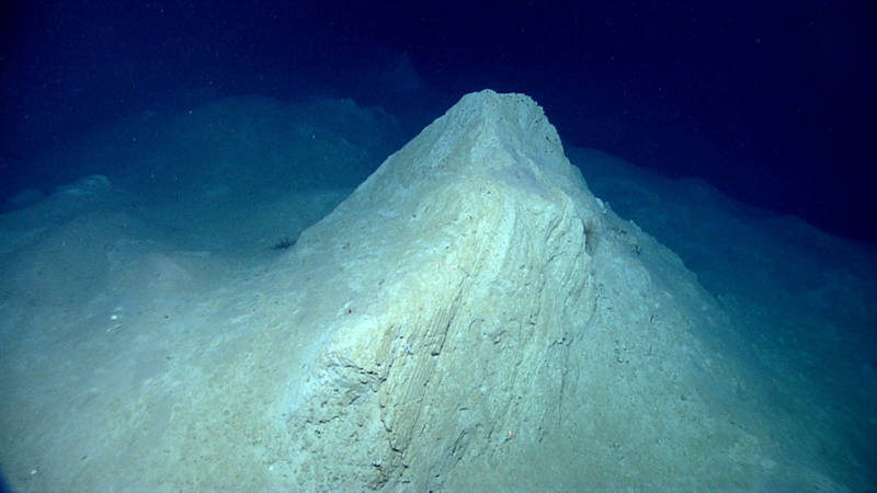 Dipping layered consolidated sedimentary block partially buried in soft sediment on the upper slope surveyed during this dive. These blocks, most buried by soft sediment, formed a hummocky seafloor topography that suggests: 1) that these sub-seafloor sediments have been pushed upwards by rising deeper salt/evaporites and/or 2) that gravity has caused slumps/submarine landslides on this ~7-8 degree slope.