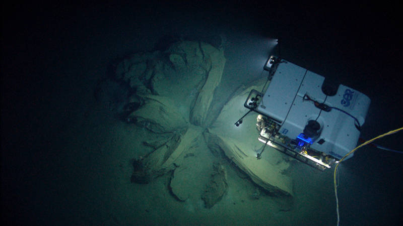 As ROV Deep Discoverer (D2) explored a dive site with a number of methane seeps, D2 imaged something truly exciting—a potential hydrate tube with both oil and gas bubble seepage.