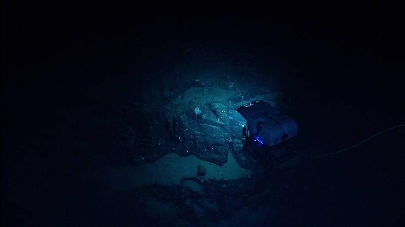 The ROV hovers over a wall on the southern slope of Mytilus Seamount.