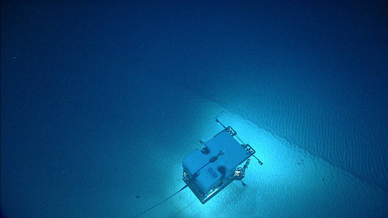 <em>ROV Deep Discoverer</em> imaging a series of rippled bedforms.